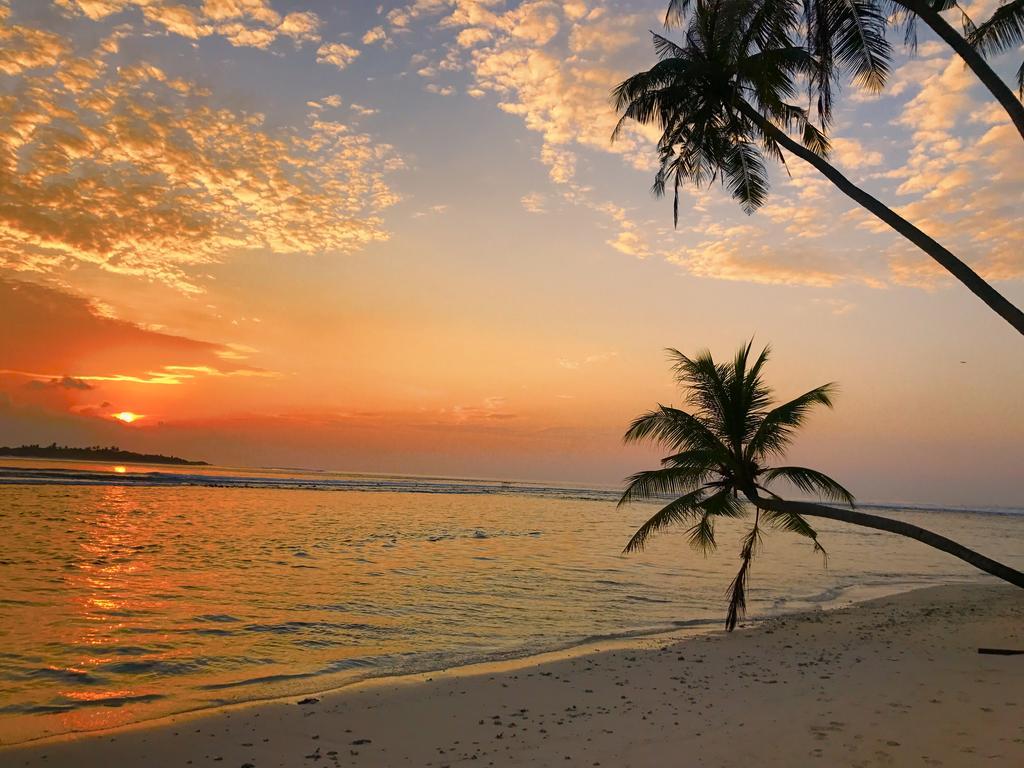 Samura Maldives Guest House Тулусдоо Екстериор снимка